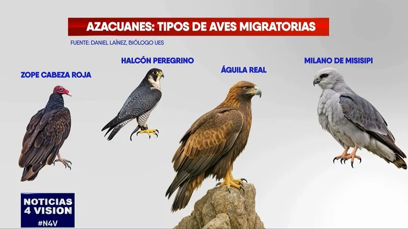 Los azacuanes: una señal de cambio de época