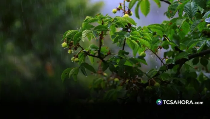 El MARN prevé lluvias puntuales en varias zonas de El Salvador que estarán acompañadas de vientos de 10 a 20 kilómetros por hora.