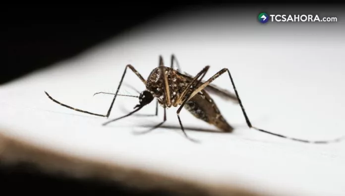 El Ministerio de Salud reportó el primer caso confirmado de chikungunya durante la semana del 11 al 17 de octubre